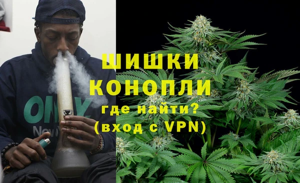 ГАЛЛЮЦИНОГЕННЫЕ ГРИБЫ Аркадак