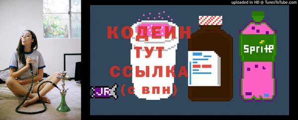 ГАЛЛЮЦИНОГЕННЫЕ ГРИБЫ Аркадак
