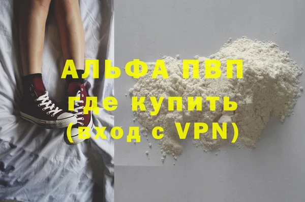 ГАЛЛЮЦИНОГЕННЫЕ ГРИБЫ Аркадак