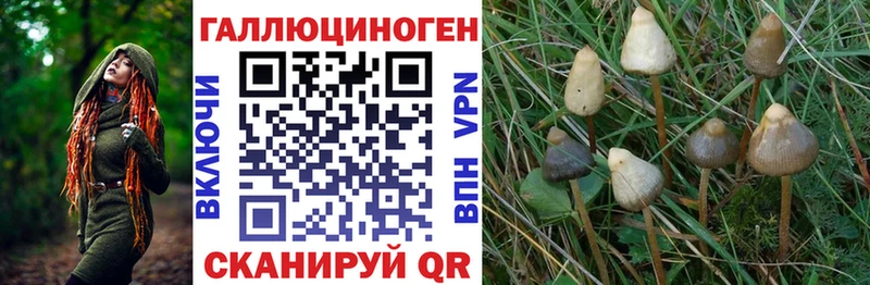 купить закладку  Оханск  OMG зеркало  Псилоцибиновые грибы Psilocybine cubensis 